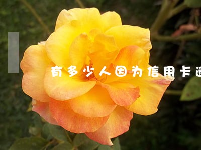 有多少人因为信用卡逾期而坐牢