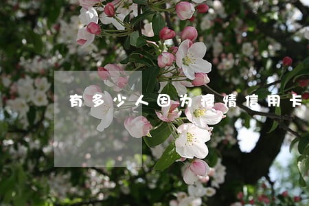 有多少人因为疫情信用卡逾期