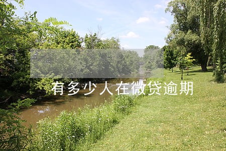 有多少人在微贷逾期 有多少人在微贷逾期