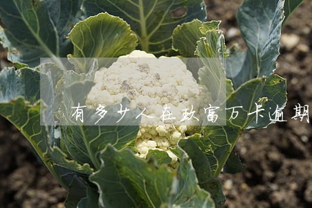 有多少人在玖富万卡逾期 有多少人在玖富万卡逾期