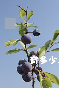 有多少人微粒贷借呗招联贷逾期 有多少人微粒贷借呗招联贷逾期