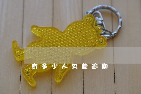 有多少人欠款逾期 有多少人欠款逾期