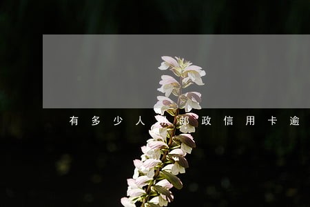 有多少人用邮政信用卡逾期的 有多少人用邮政信用卡逾期的