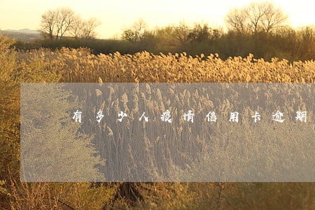 有多少人疫情信用卡逾期