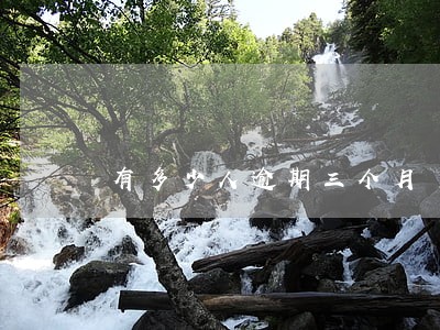 有多少人逾期三个月 有多少人逾期三个月
