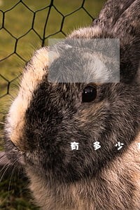 有多少信用卡逾期没还钱的 有多少信用卡逾期没还钱的