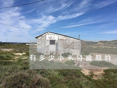 有多少小米贷逾期的 有多少小米贷逾期的