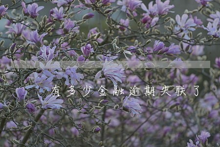 有多少金融逾期失联了 有多少金融逾期失联了