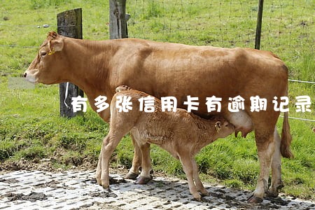 有多张信用卡有逾期记录