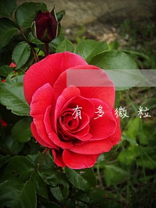 有多微粒贷逾期会怎么样 有多微粒贷逾期会怎么样