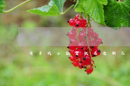 有多次小额贷款未逾期已经还清 有多次小额贷款未逾期已经还清