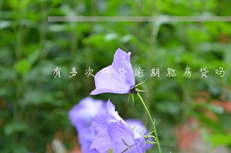 有多次网贷逾期能房贷吗 有多次网贷逾期能房贷吗
