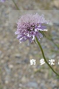 有多次逾期媳妇能办理车贷吗 有多次逾期媳妇能办理车贷吗