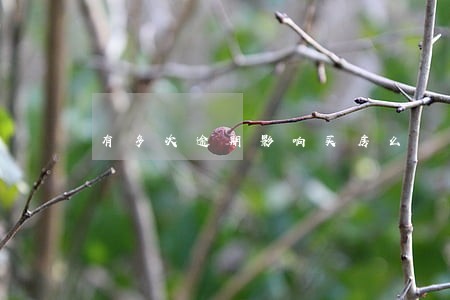 有多次逾期影响买房么 有多次逾期影响买房么
