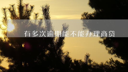 有多次逾期能不能办理商贷 有多次逾期能不能办理商贷