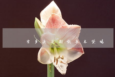 有多次逾期能办车贷吗 有多次逾期能办车贷吗