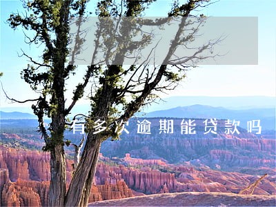 有多次逾期能贷款吗 有多次逾期能贷款吗