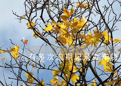 有多次逾期记录办车贷