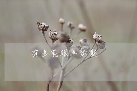 有多笔账单逾期 有多笔账单逾期