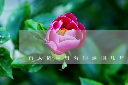 有大佬手机分期逾期几年的吗 有大佬手机分期逾期几年的吗