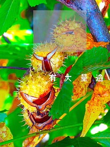 有大量逾期债务能不能贷款 有大量逾期债务能不能贷款