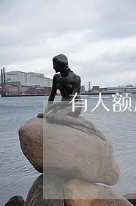 有大额度逾期的催收 有大额度逾期的催收