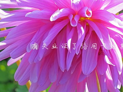 有失业证了信用卡逾期可以协商吗 有失业证了信用卡逾期可以协商吗