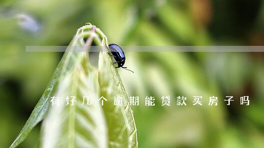 有好几个逾期能贷款买房子吗 有好几个逾期能贷款买房子吗