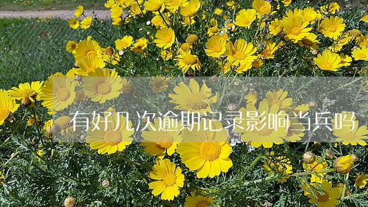 有好几次逾期记录影响当兵吗 有好几次逾期记录影响当兵吗