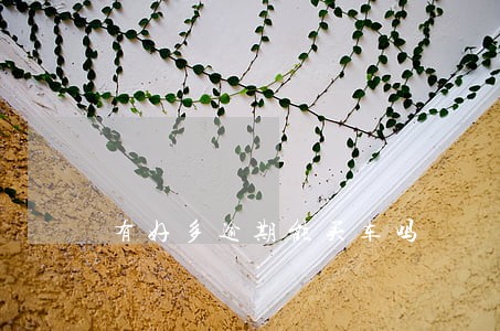有好多逾期能买车吗 有好多逾期能买车吗