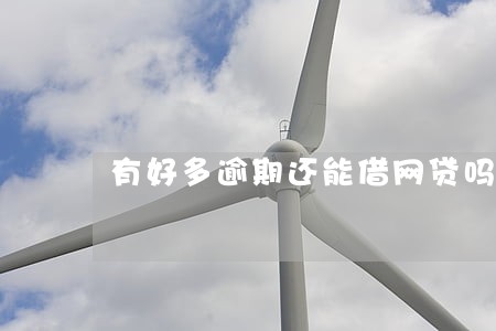 有好多逾期还能借网贷吗 有好多逾期还能借网贷吗