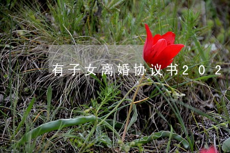有子女离婚协议书2021 有子女离婚协议书2021