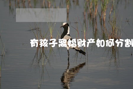 有孩子离婚财产如何分割房子上 有孩子离婚财产如何分割房子上