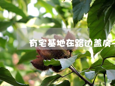 有宅基地在路边盖房子违法吗 有宅基地在路边盖房子违法吗