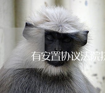 有安置协议法院执行给房租钱