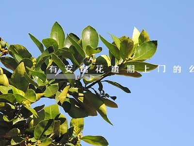 有安逸花逾期上门的么 有安逸花逾期上门的么