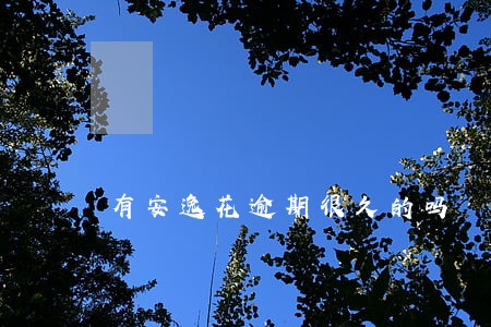 有安逸花逾期很久的吗 有安逸花逾期很久的吗