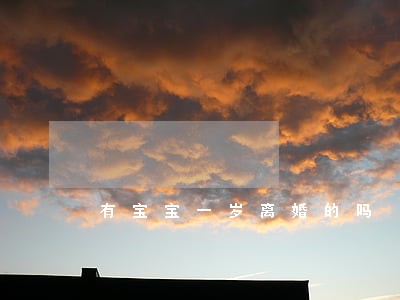 有宝宝一岁离婚的吗
