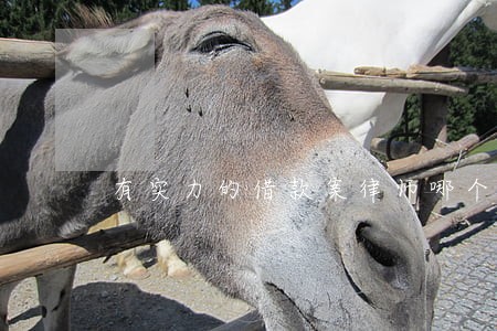 有实力的借款案律师哪个好 有实力的借款案律师哪个好