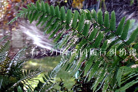 有实力的合同履行纠纷律师 有实力的合同履行纠纷律师