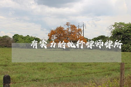 有实力的执行律师律所 有实力的执行律师律所