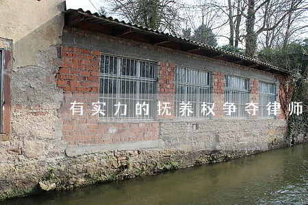 有实力的抚养权争夺律师排行 有实力的抚养权争夺律师排行