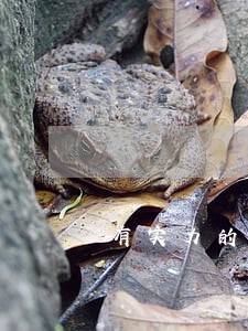 有实力的离婚咨询律师预约咨询 有实力的离婚咨询律师预约咨询