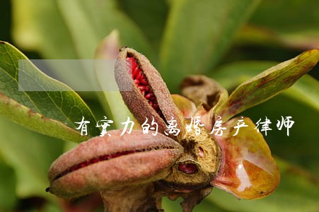 有实力的离婚房产律师 有实力的离婚房产律师