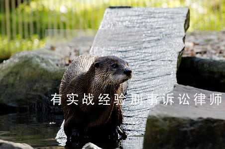 有实战经验刑事诉讼律师团队 有实战经验刑事诉讼律师团队
