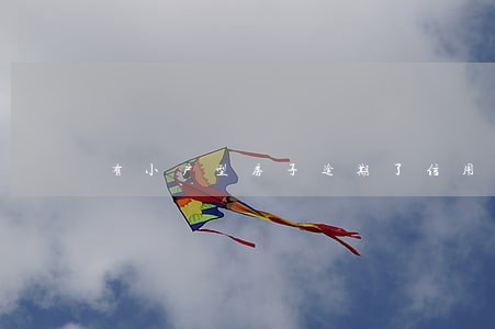 有小户型房子逾期了信用卡 有小户型房子逾期了信用卡