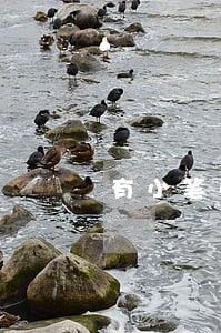 有小笔小额逾期能贷款吗 有小笔小额逾期能贷款吗