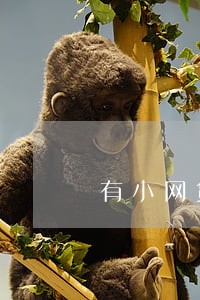 有小网贷逾期怎么办 有小网贷逾期怎么办