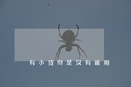 有小贷但是没有逾期 有小贷但是没有逾期