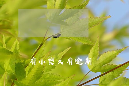 有小贷又有逾期 有小贷又有逾期